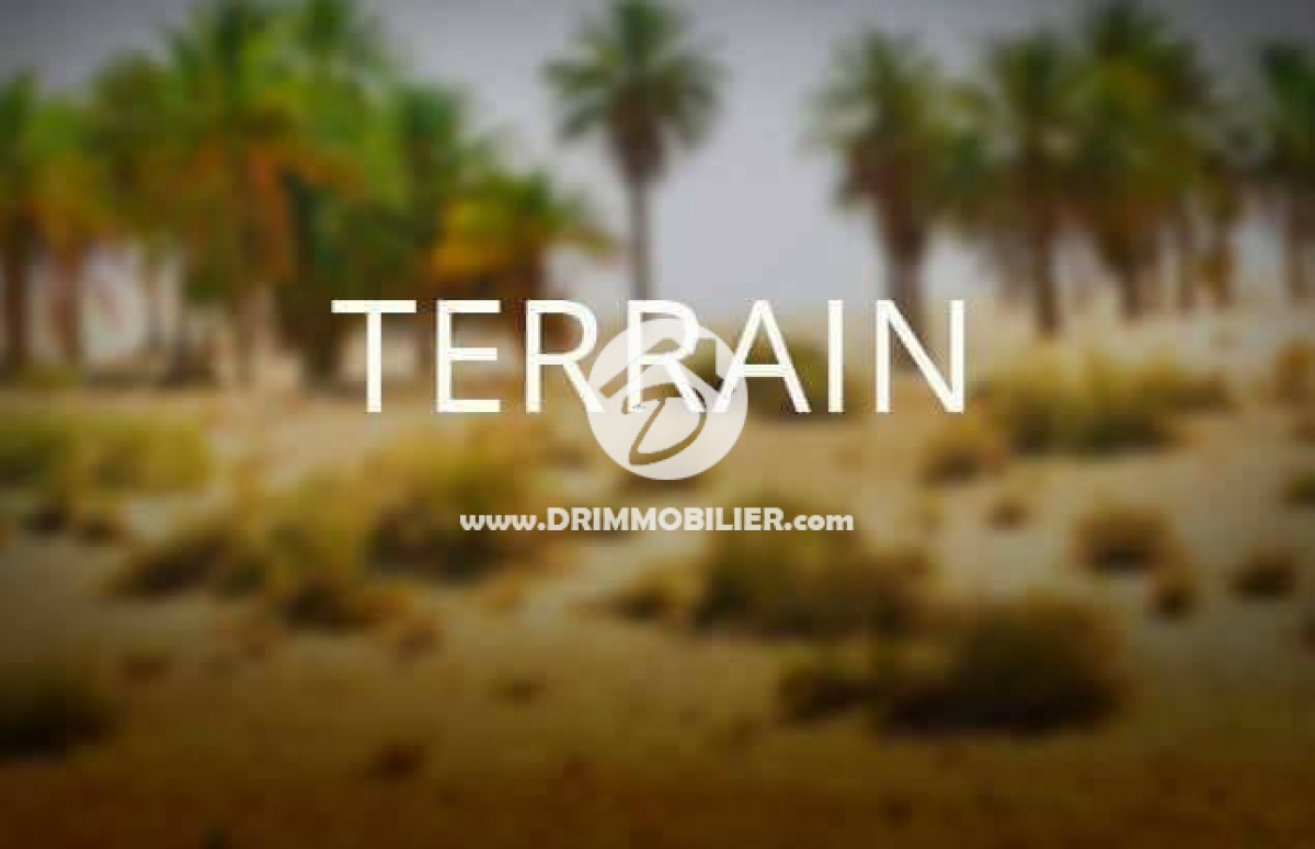 V 114 -   Terrain Djerba